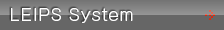 LEIPS System